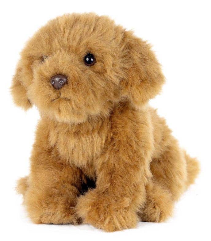 LIVING NATURE Cavapoo