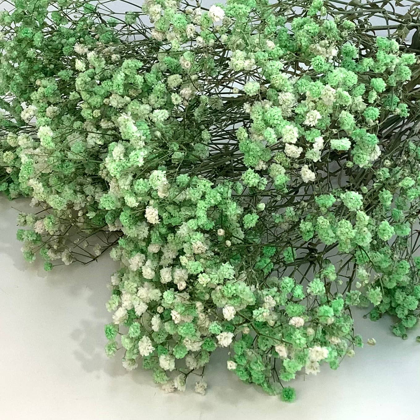 Dried baby’s breath flowers: Golden yellow