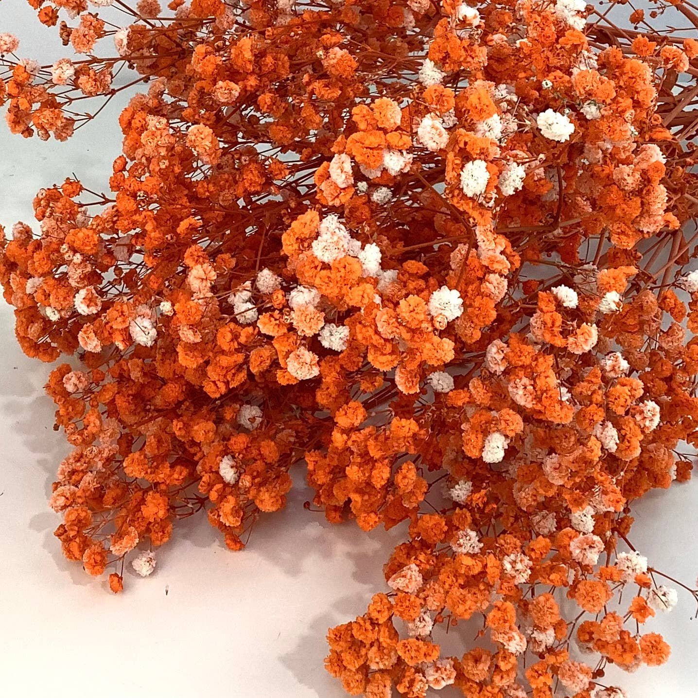 Dried baby’s breath flowers: Golden yellow