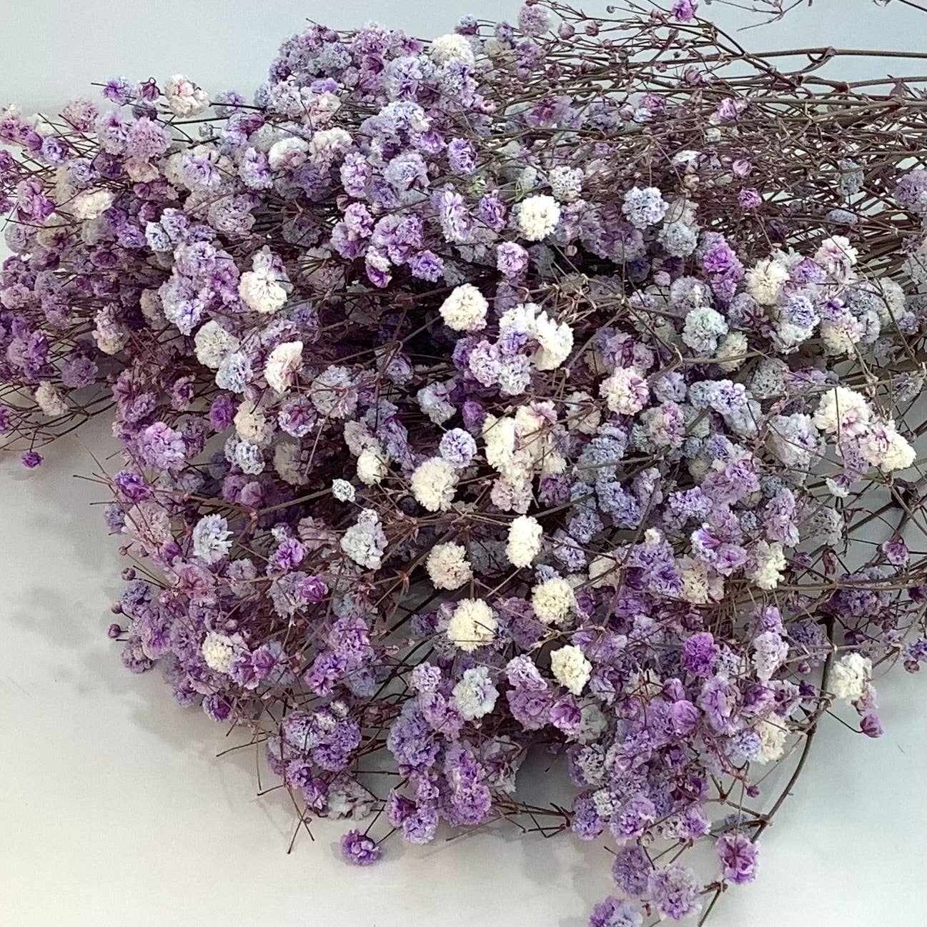Dried baby’s breath flowers: Hot pink