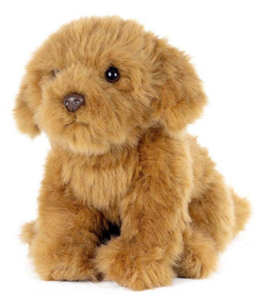LIVING NATURE Cavapoo