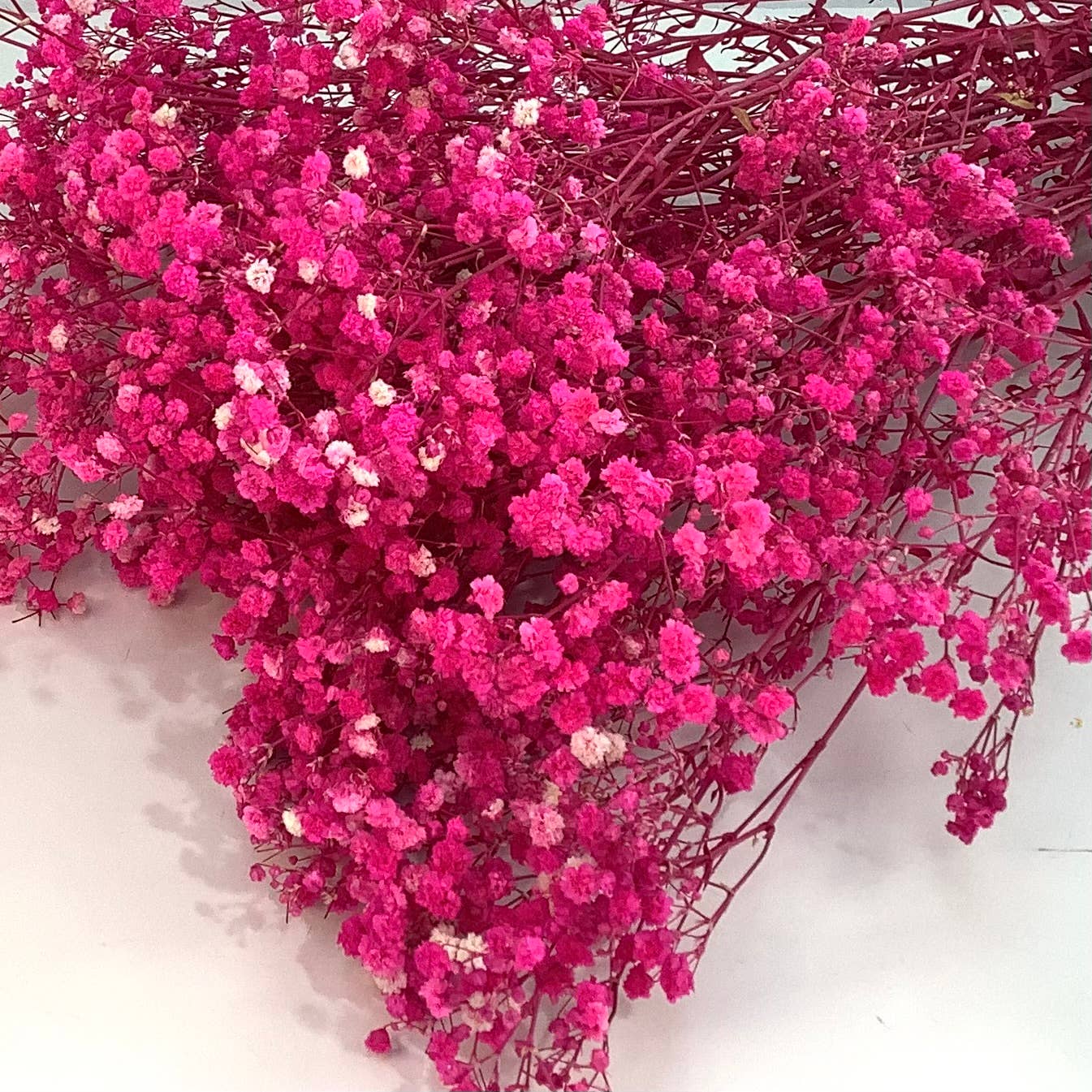 Dried baby’s breath flowers: Hot pink