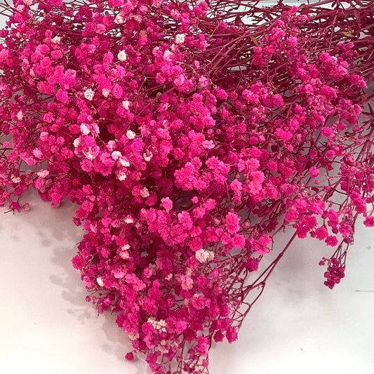 Dried baby’s breath flowers: Hot pink