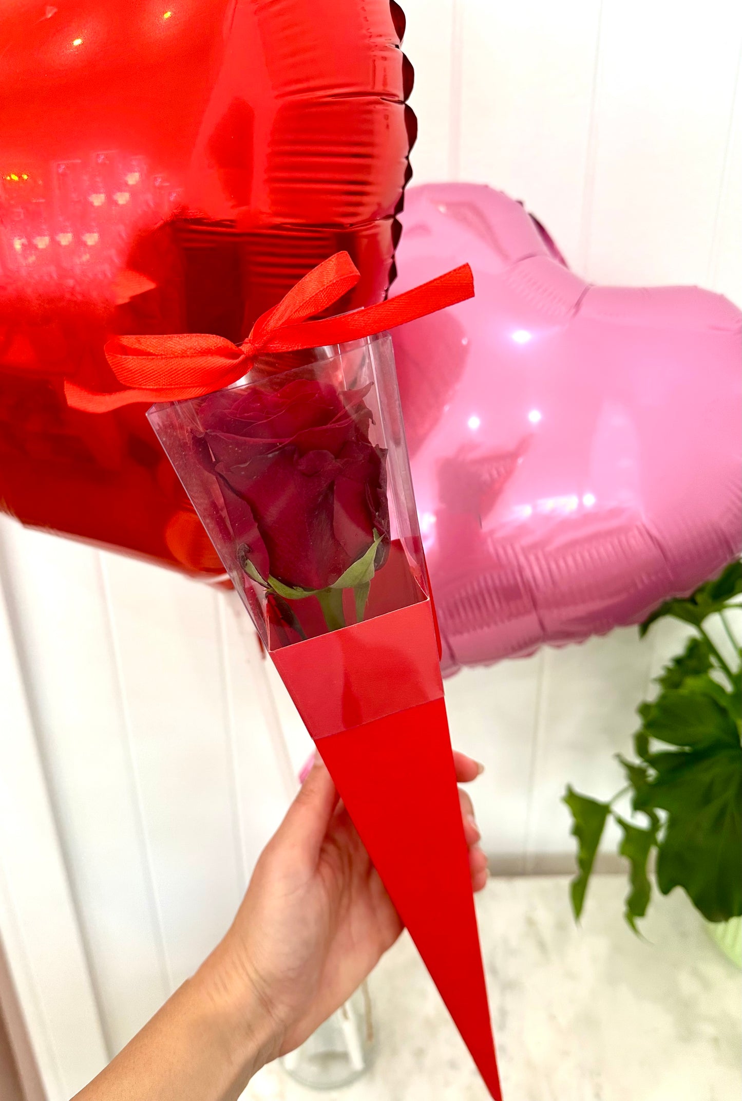 Single Box rose