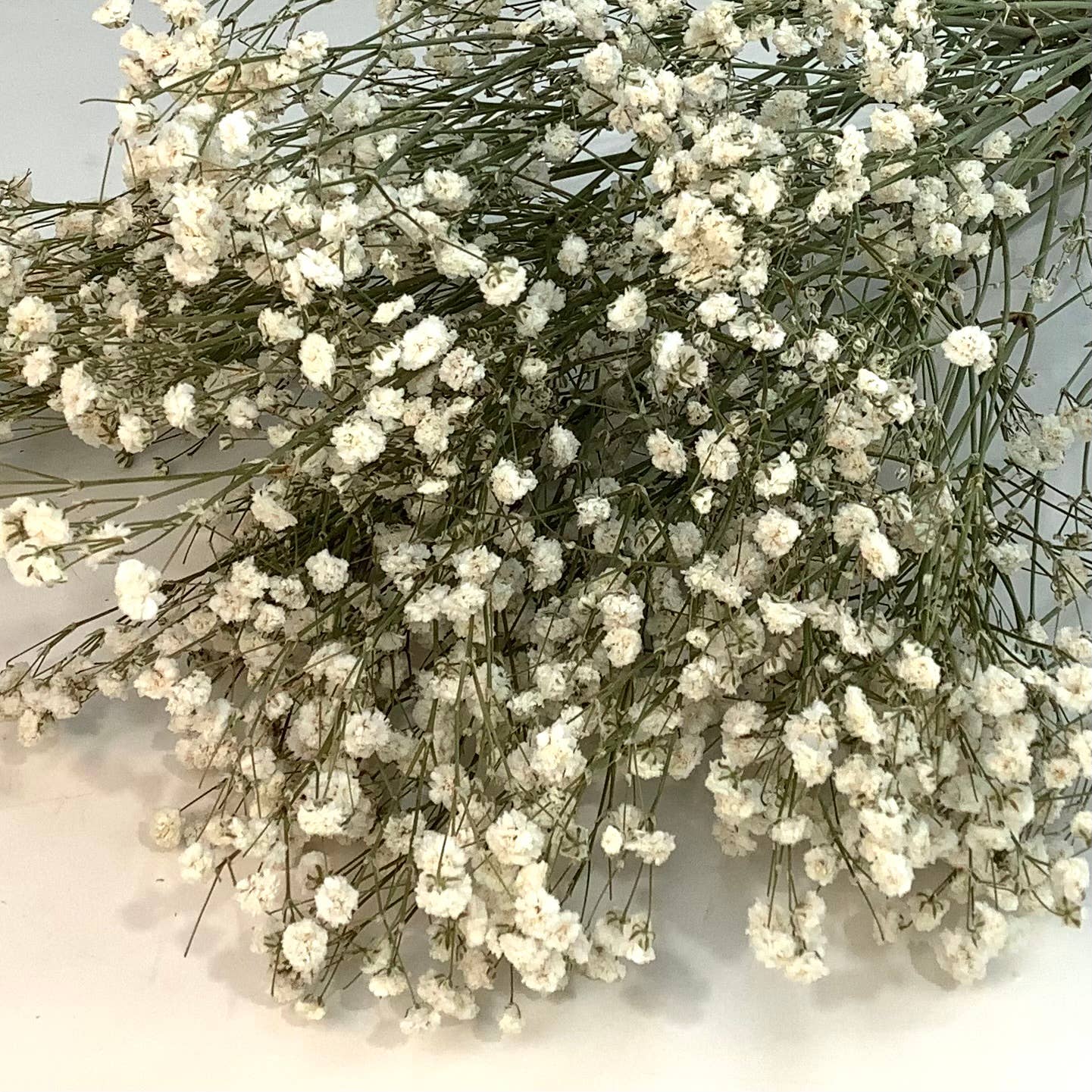 Dried baby’s breath flowers: Golden yellow
