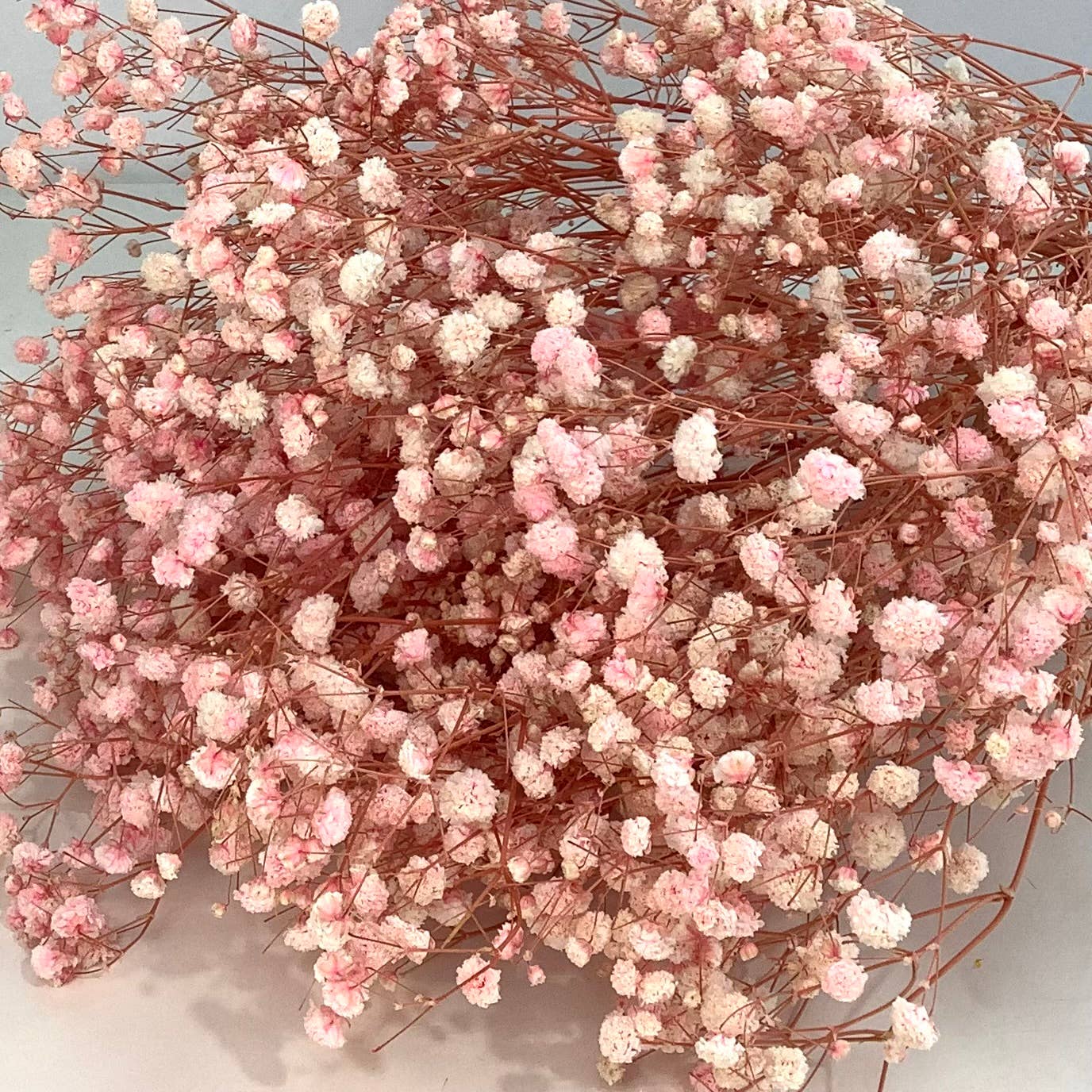 Dried baby’s breath flowers: Hot pink